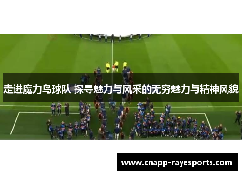 走进魔力鸟球队 探寻魅力与风采的无穷魅力与精神风貌