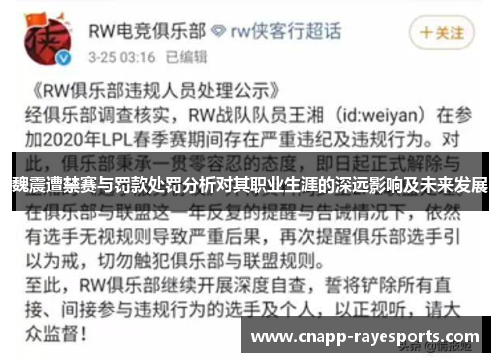 魏震遭禁赛与罚款处罚分析对其职业生涯的深远影响及未来发展