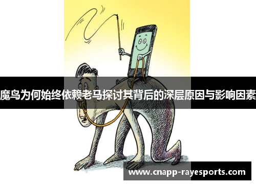 魔鸟为何始终依赖老马探讨其背后的深层原因与影响因素